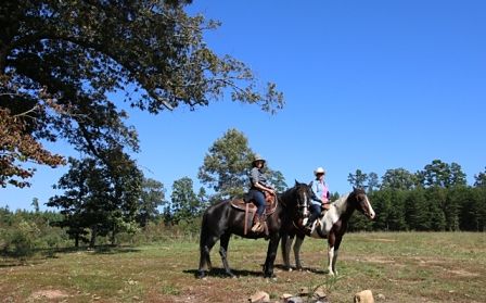 Horseback Riding