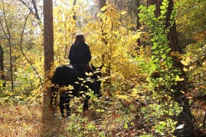 Guest riding a mule on wooded trail at the guest ranch