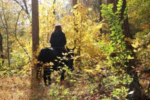 Guest riding a mule on wooded trail at the guest ranch