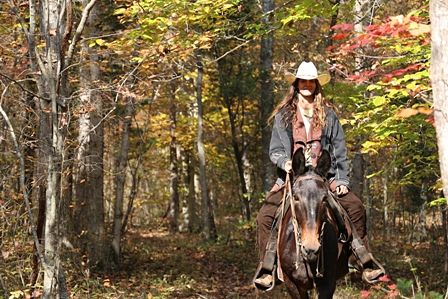 Trail riding on Bess the Mule