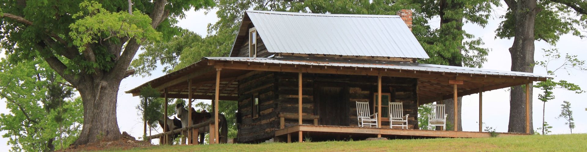 Horses at the Bradshaw Cabin