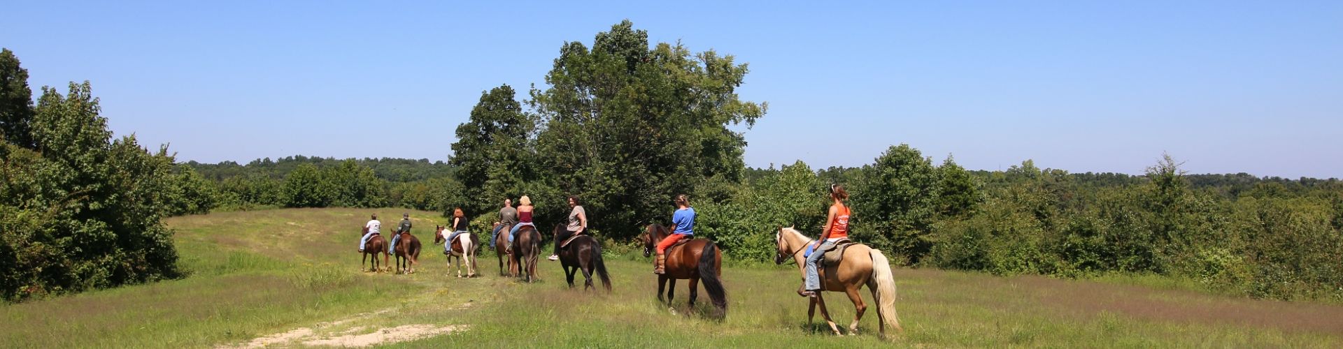 Group of guests trail riding