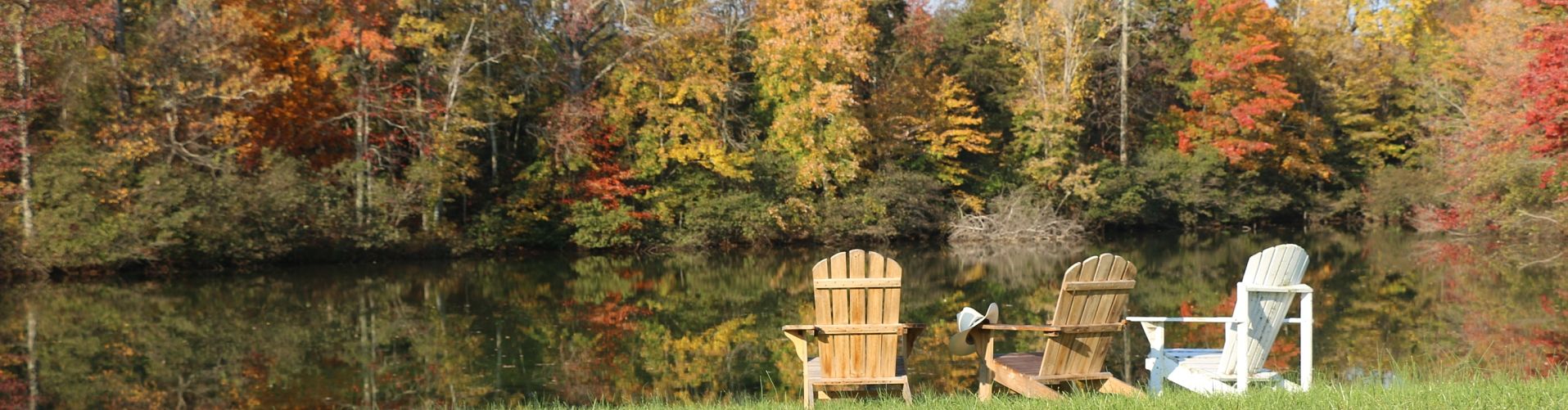 Pond for fishing at ranch