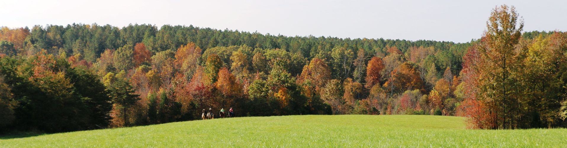 Trail riding