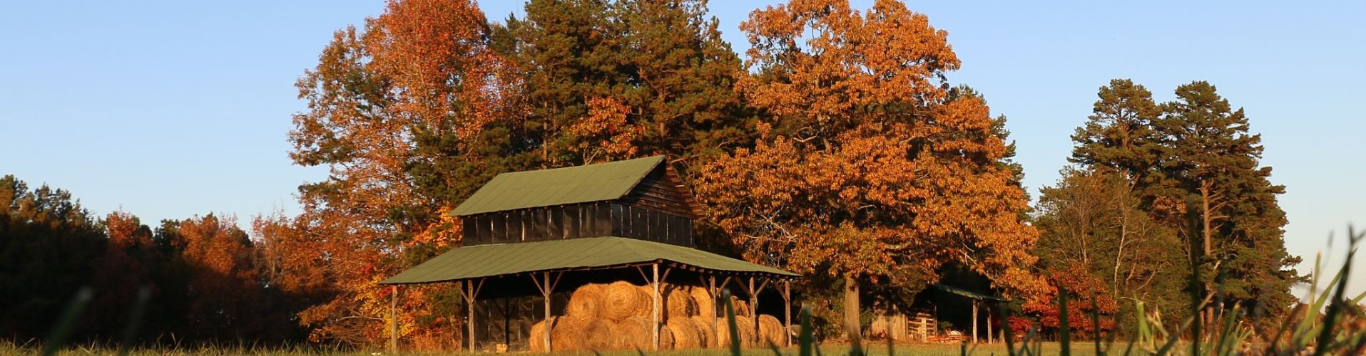 Hay barn at farm