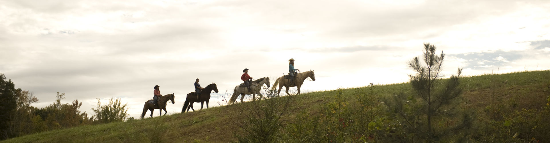 Trail riding at the guest ranch